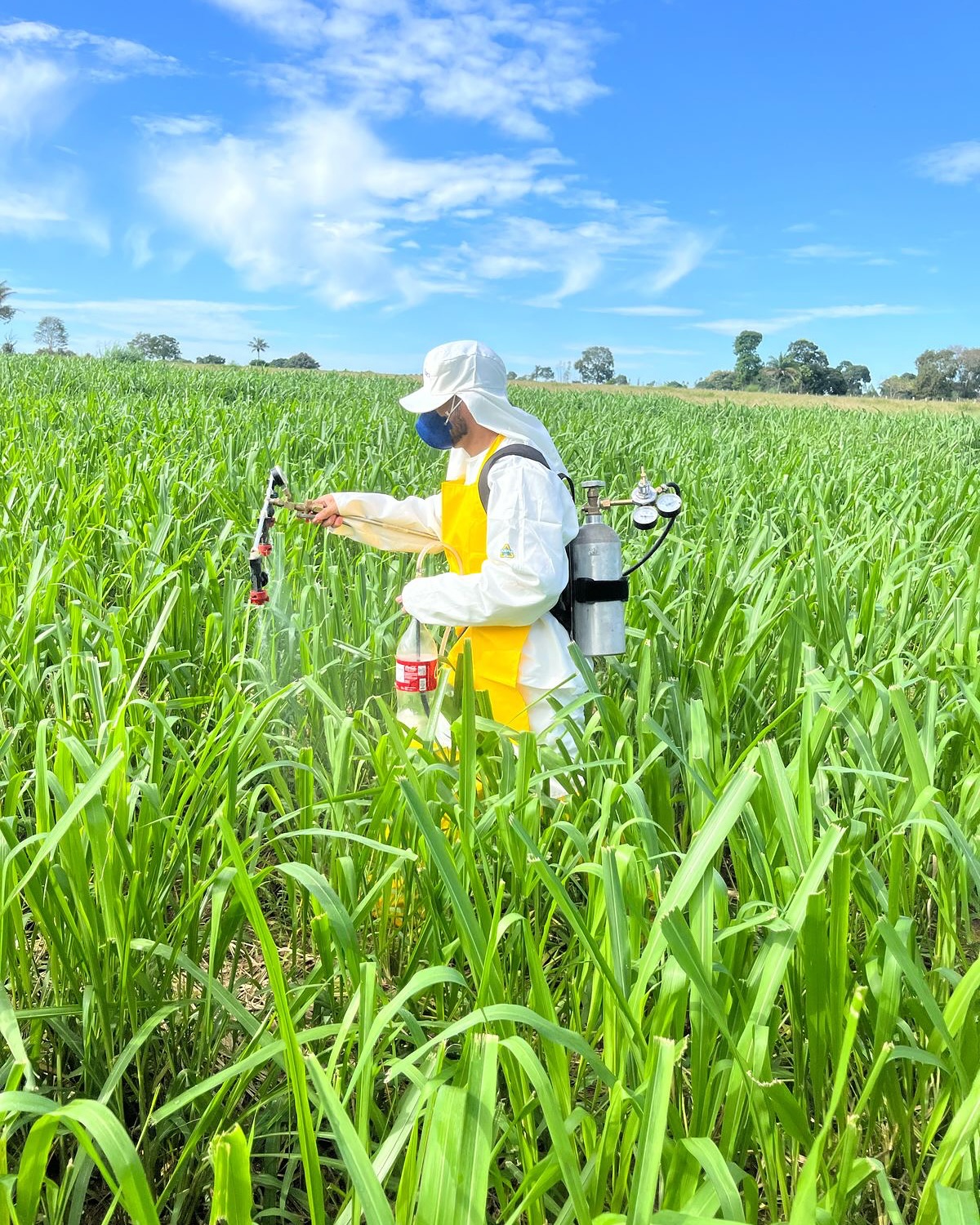 485056709 18038594294447409 17128092921292762 n