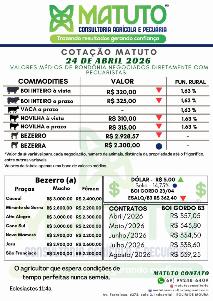 Cotação Matuto 24 de abril de 2026