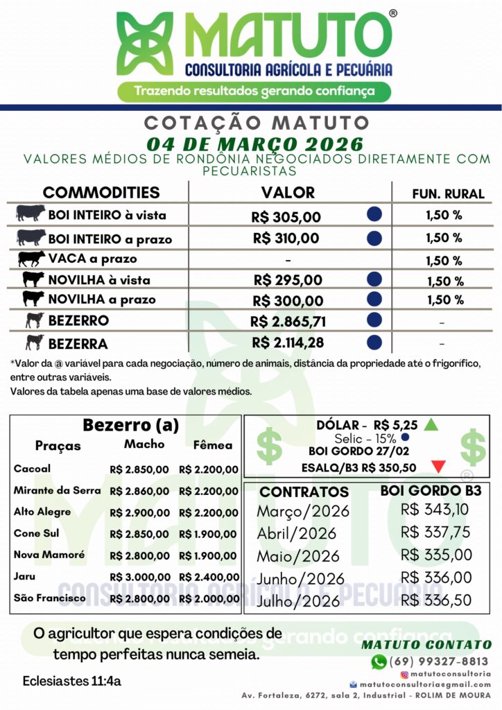 Cotação Matuto 04 de março de 2026