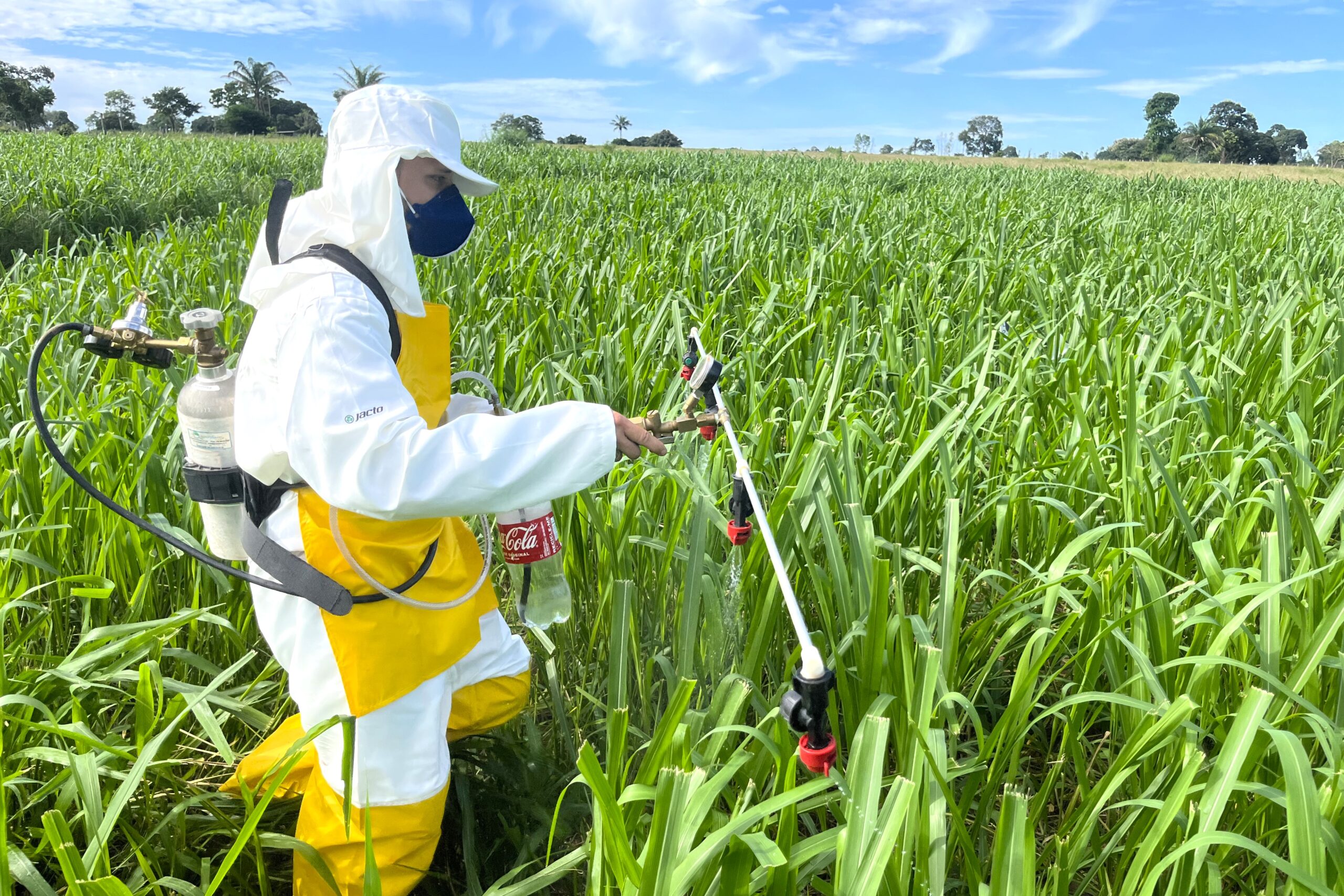 estação de pesquisa matuto