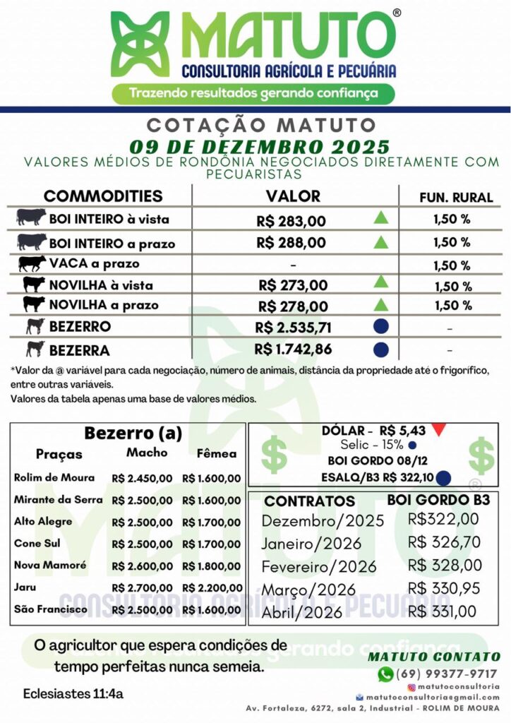 Cotação Matuto 09 de dezembro de 2025
